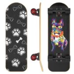 best-longboard-for-dog-pulling.jpg